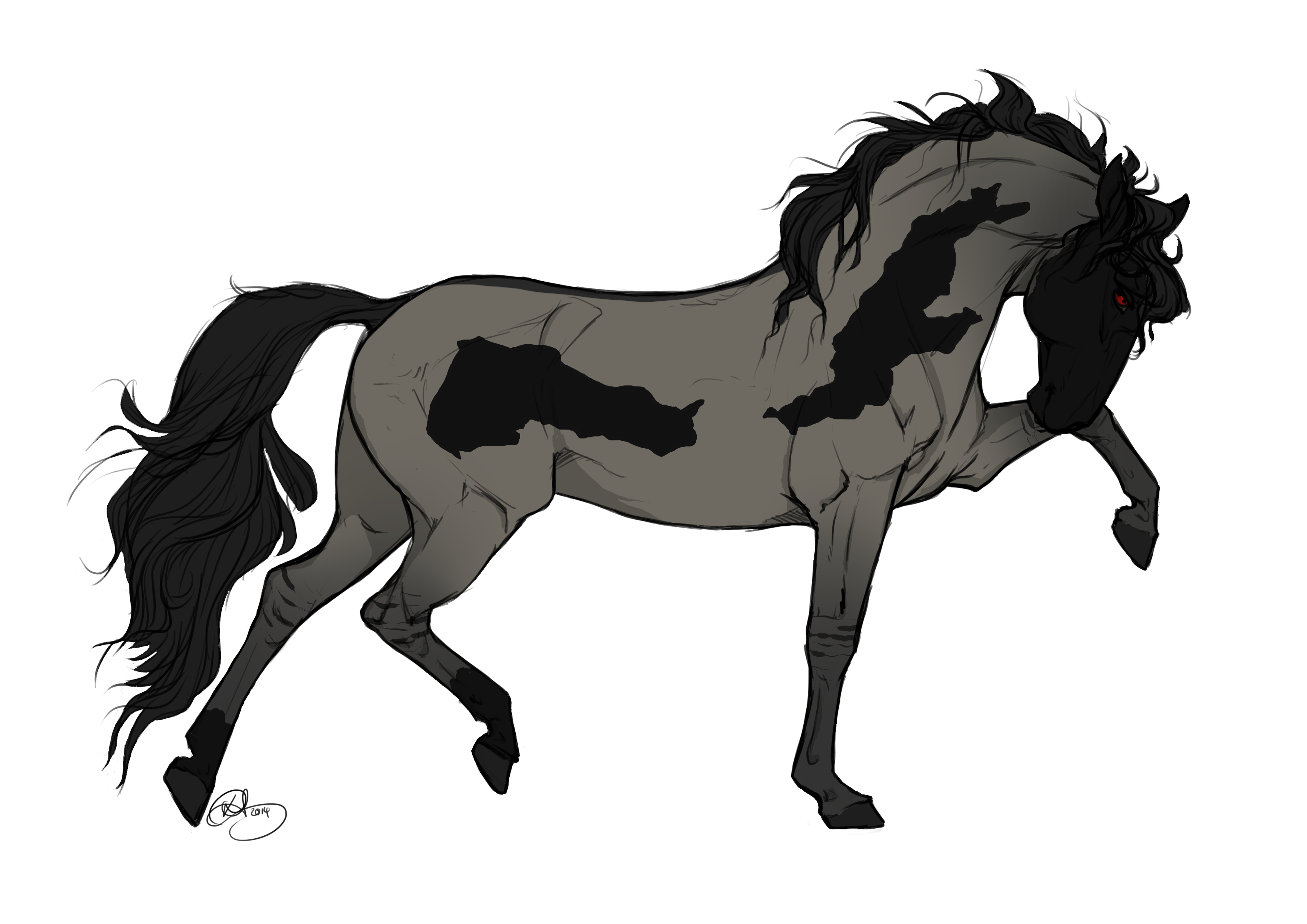 Stallion Drawing