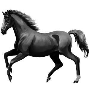 300x300 Collection Of Free Drawing Horse Stallion Download On Ui Ex