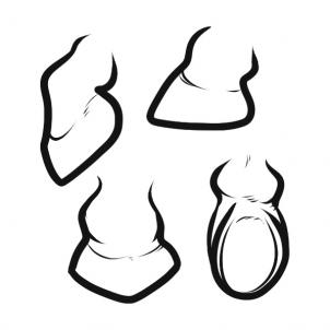 302x302 Draw A White Stallion, White Stallion, Step