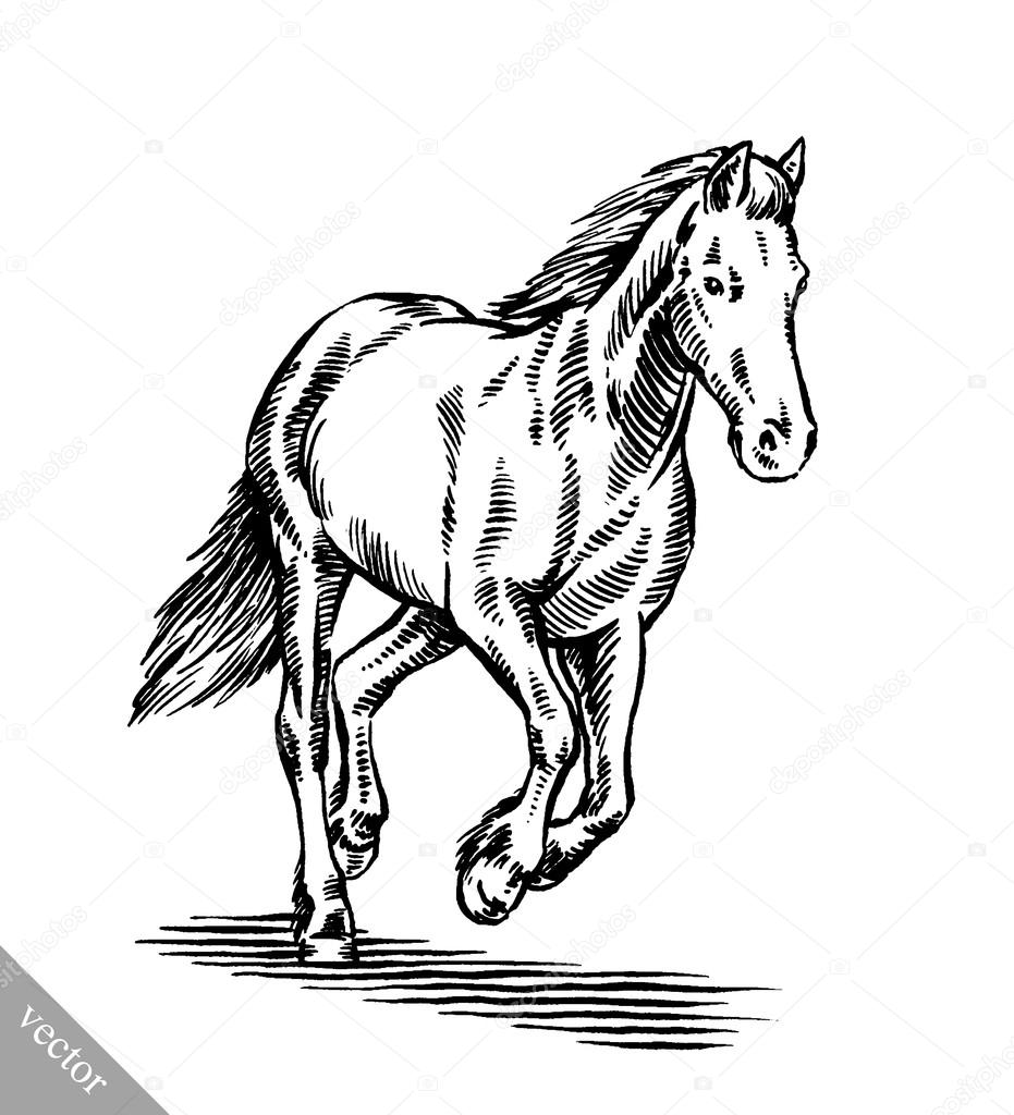 931x1024 Stallion Drawing Vector For Free Download