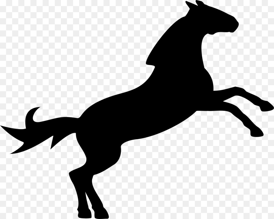 900x720 Horse, Silhouette, Drawing, Transparent Png Image Clipart Free