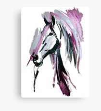 210x230 Stallion Drawing Canvas Prints Redbubble