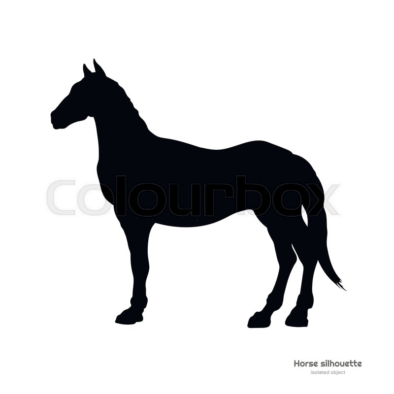 800x800 Black Silhouette Of Horse Isolated Stock Vector Colourbox