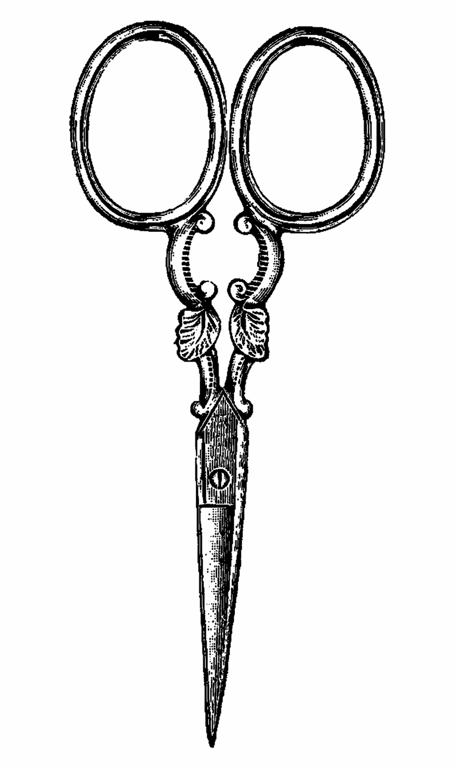 920x1550 Graphic Free Library Digital Stamp Design Vintage Clip