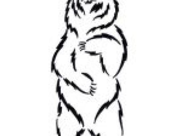 640x480 Clipart Wallpaper Blink