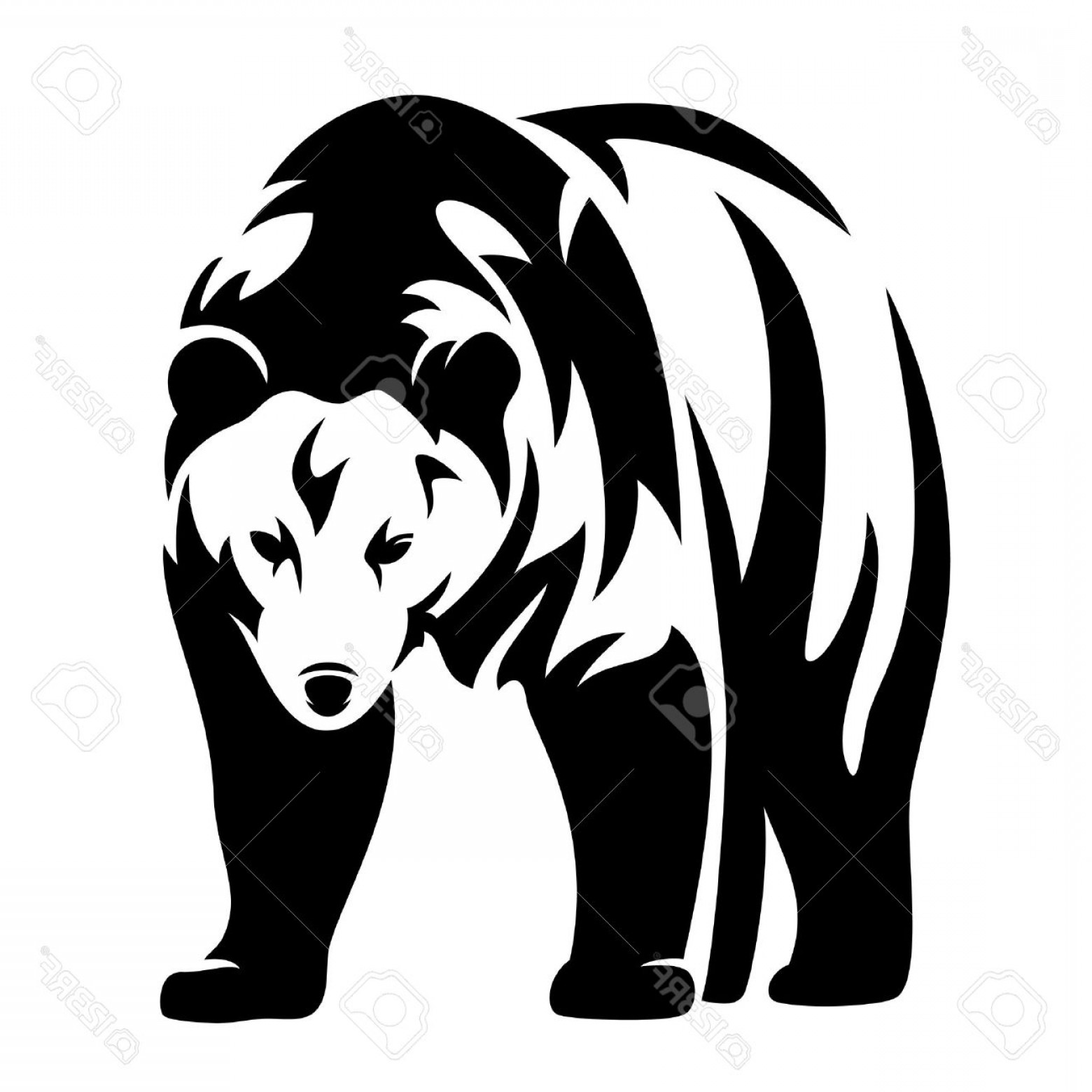 1560x1560 Photostock Vector Grizzly Bear Black And White Vector Design