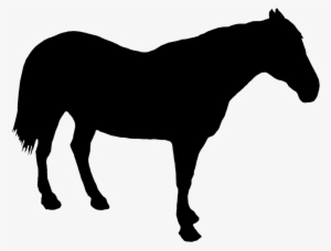 300x228 Horse Png,  Transparent Horse Png Image Free Download