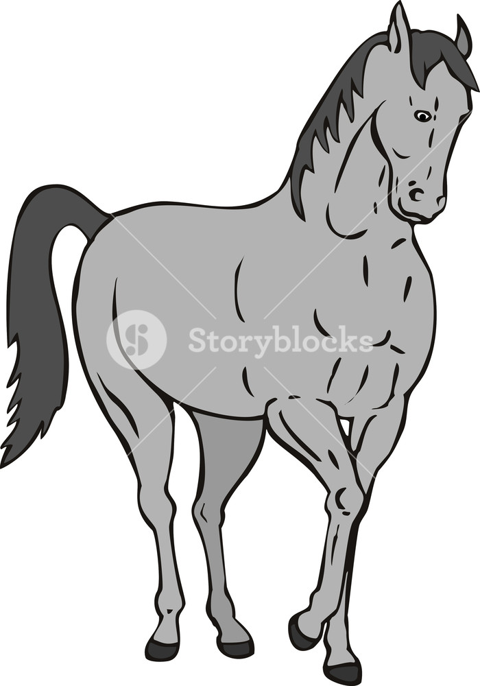700x1000 Horse Standing Retro Royalty Free Stock Image