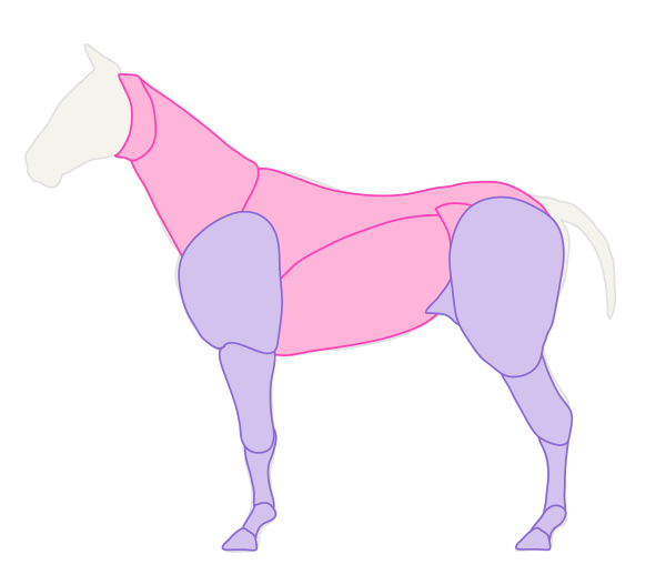 600x527 How To Draw Animals Horses, Their Anatomy And Poses