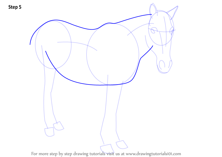844x598 Learn How To Draw Standing Horse