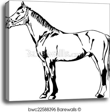382x390 outline of a standing horse, canvas print barewalls posters