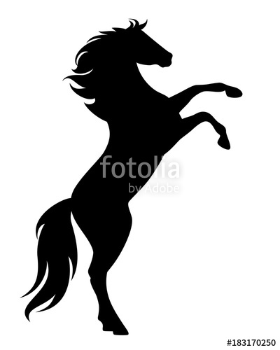 400x500 Rearing Up Black Mustang Standing Horse Side View Vector