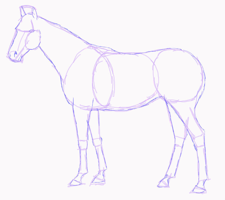 900x800 Standing Horse Sketch