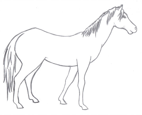 600x484 Standing Horse Lineart