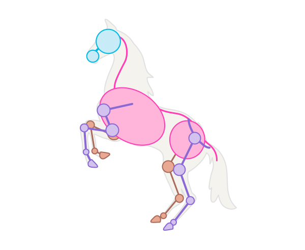 600x492 How To Draw Animals Horses, Their Anatomy And Poses