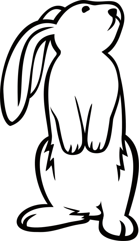 462x800 White Bunny