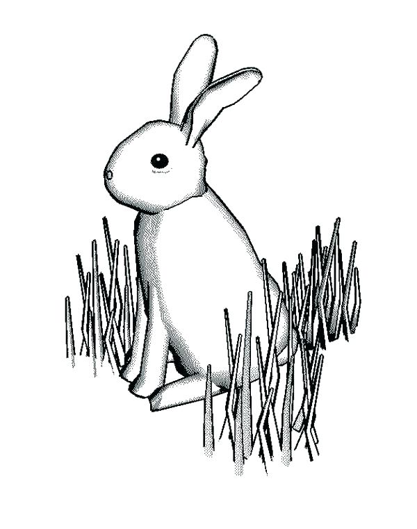 600x761 Bunny Color Pages Cute Coloring Printable