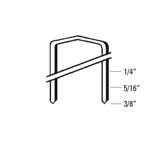 500x462 metropolitan staple corp