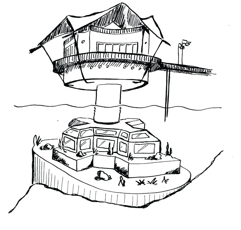 803x768 Sea Star Drawing