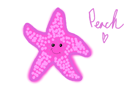 450x340 Drawing Starfish Cute Transparent Png Clipart Free Download