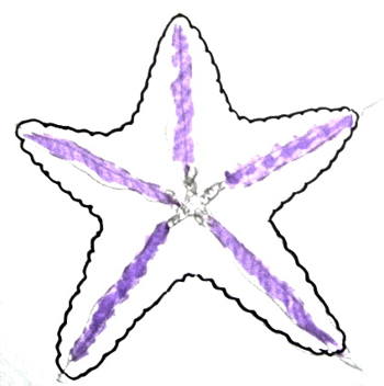350x352 Starfish Drawing