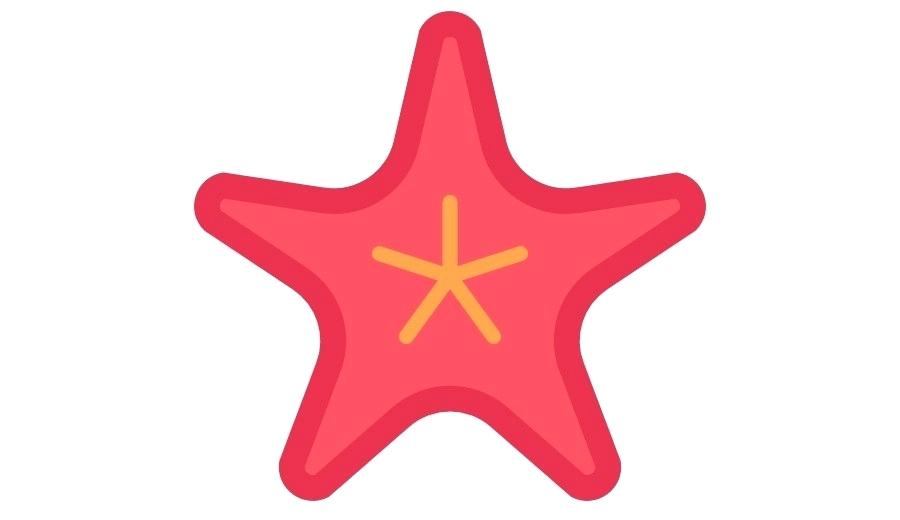 900x520 Draw Starfish Starfish Starfish Shaped Drawer Pulls