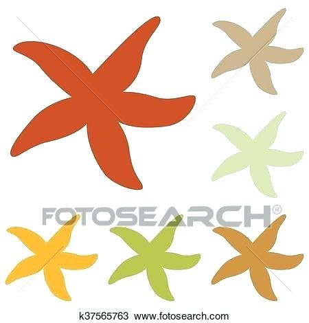 450x470 Sea Star Drawing