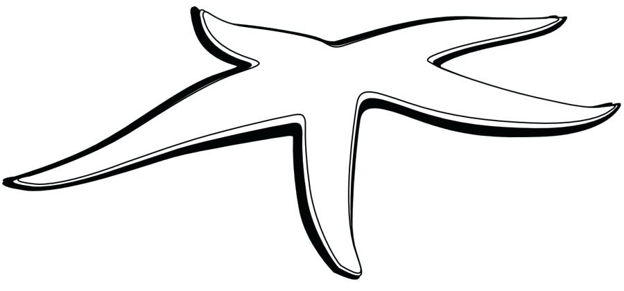 900x420 Star Fish Drawing Running