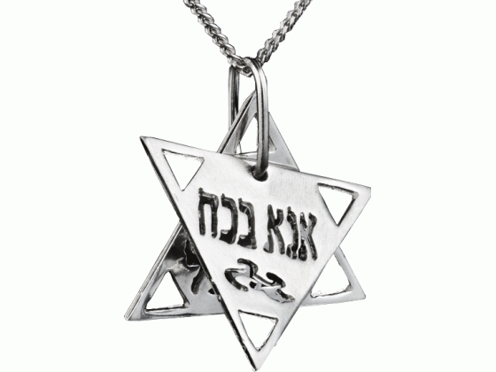 560x420 Buy Silver Ana Becoach Star Of David Necklace Israel