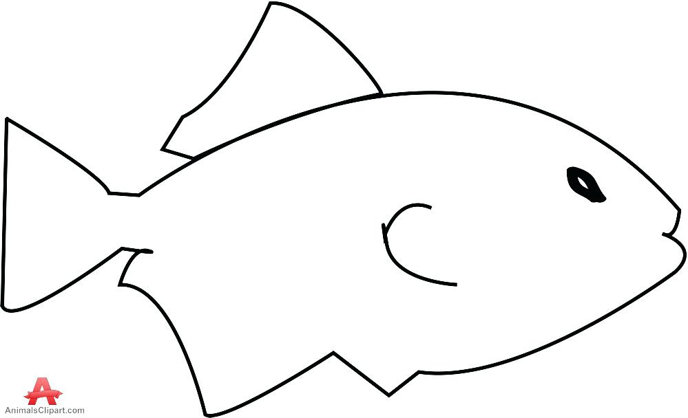999x608 Fish Outline Stock Vector Star Images