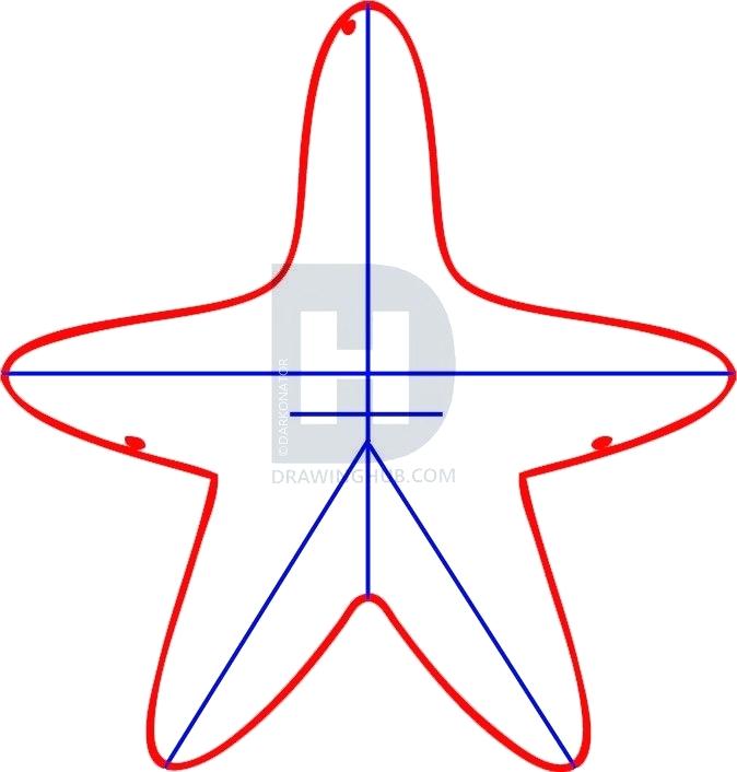 674x706 Draw Starfish