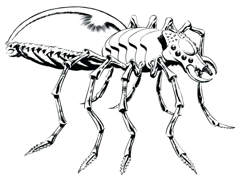 1024x751 clone trooper coloring pages art star wars clone wars arc trooper