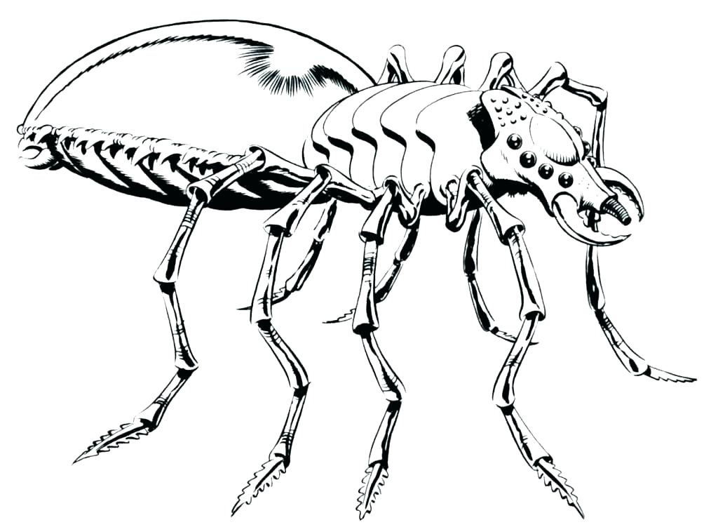 1024x751 Star Wars Clone Trooper Coloring Pages Arc Free Mebelmag