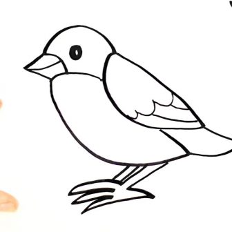 336x336 Birds And Draw Easy To Step