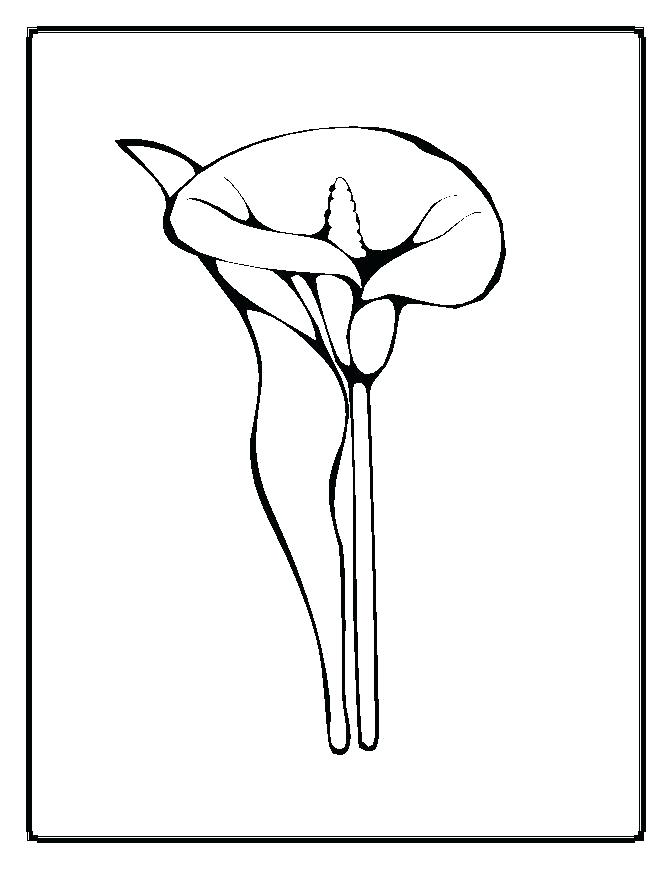 671x869 Boba Fett Coloring