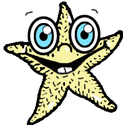 244x248 How To Draw Cartoon Star Fish In Easy Step