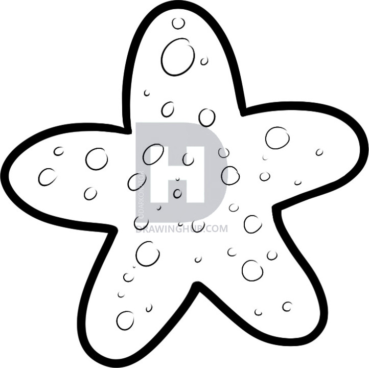 722x720 How To Draw A Starfish For Kids, Step