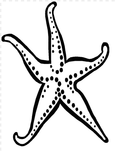 400x533 Starfish Coloring