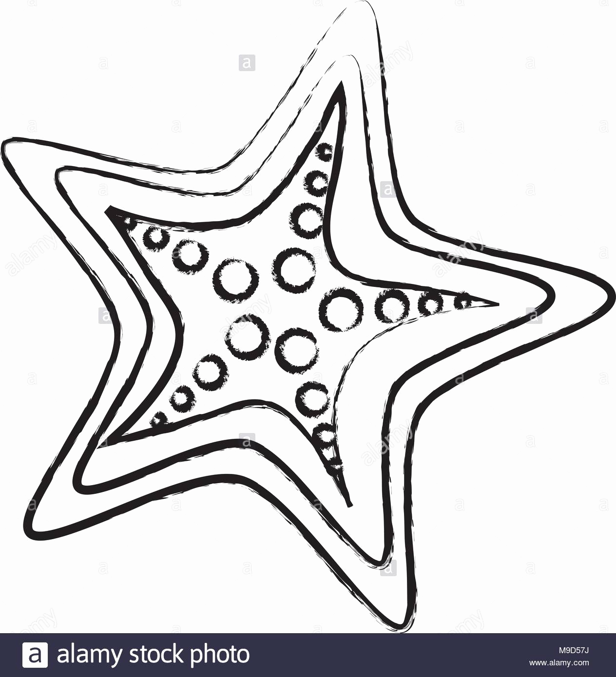 1264x1390 Sketch Of Starfish Beautiful How To Draw A Starfish Steps