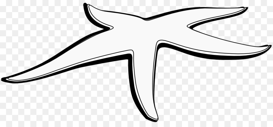 900x420 Starfish, Drawing, Line, Transparent Png Image Clipart Free Download
