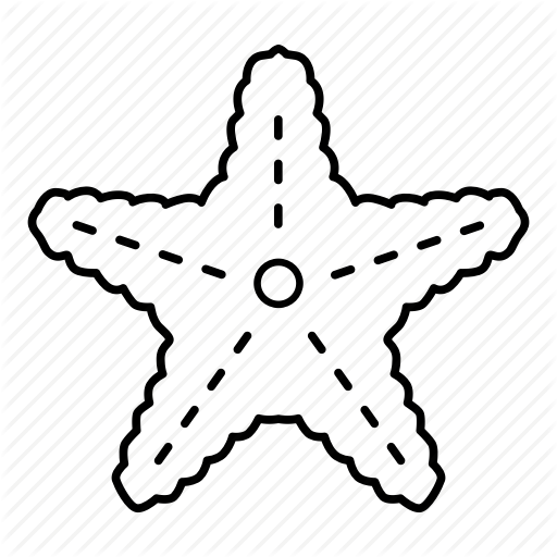 512x512 Starfish, Drawing, Sea, Transparent Png Image Clipart Free Download