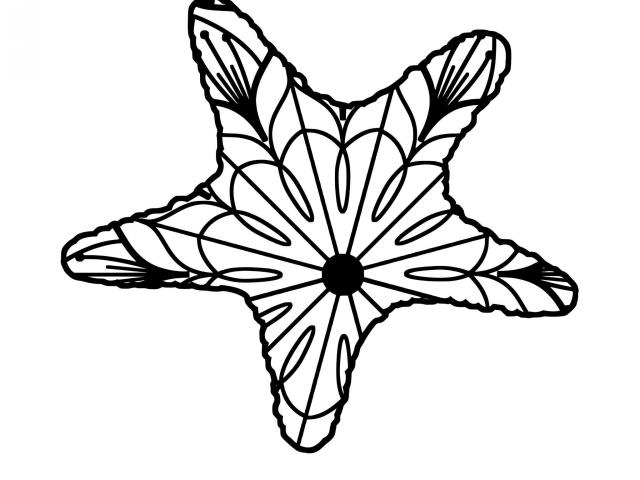 640x480 Starfish Clip Art