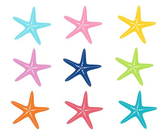 570x456 Starfish Drawing Template At Free For Personal Use Printable
