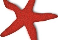 200x140 Starfish Clipart Addon Red Starfish Clip Art Free Vector In Open