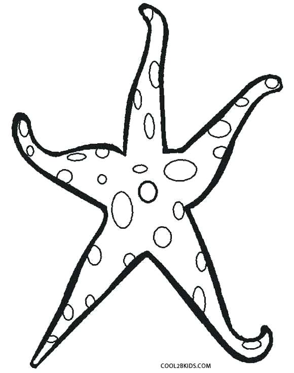 580x737 Star Fish Template Graphic Silhouette Starfish Logo Template