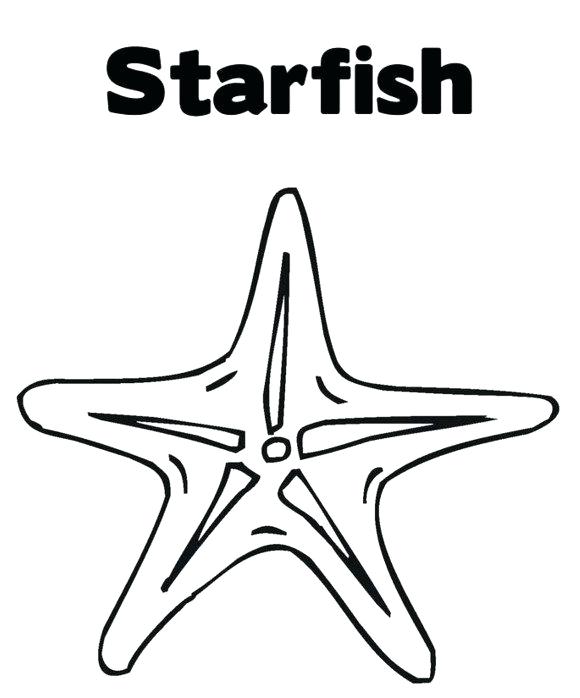 580x698 Starfish Coloring Pages Coloring Pages Of Sea Stars With Free
