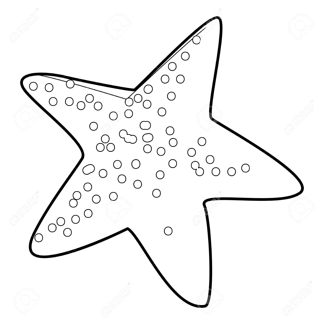 1300x1300 Starfish Realistic Sketch Sea Star Isolated On Vector