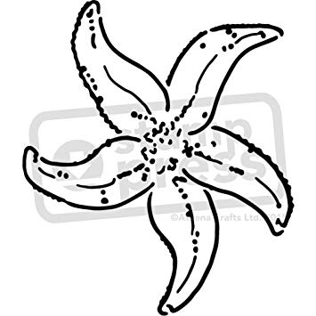 355x355 'detailed Starfish' Wall Stencil Template