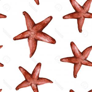 300x300 One Line Drawing Of A Starfish Vector Geekchicpro