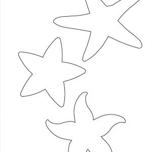 300x300 Starfish Drawing New Starfish Line Drawing At Getdrawings
